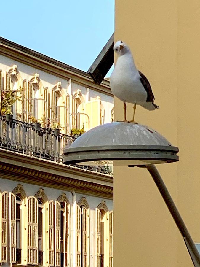Appartement 2 Bedroom - Hyper Center - Kitchen - Tramway - Balcony - Air Conditioner - Wifi Nice